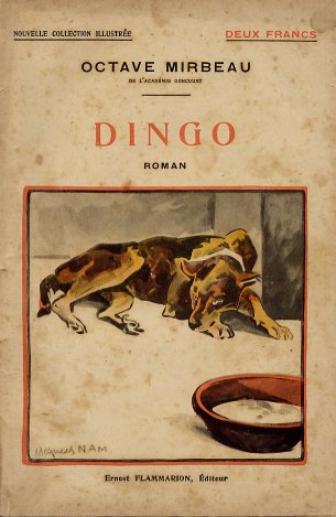 Dingo